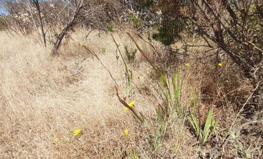 Parcela en venta en ALGARROBO