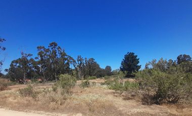 Parcela en venta en ALGARROBO