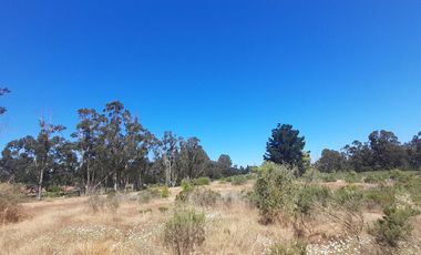 Parcela en venta en ALGARROBO