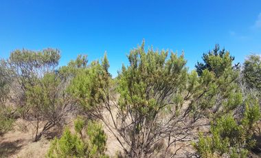 Parcela en venta en ALGARROBO