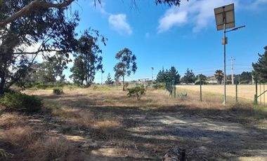 Parcela en venta en ALGARROBO