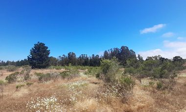 Parcela en venta en ALGARROBO