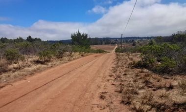 Parcela en venta en ALGARROBO