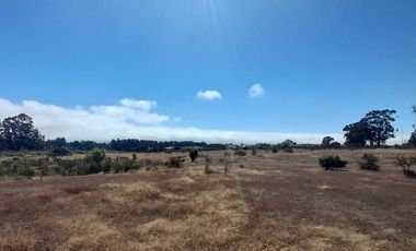 Parcela en venta en ALGARROBO