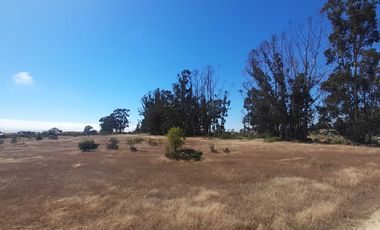 Parcela en venta en ALGARROBO