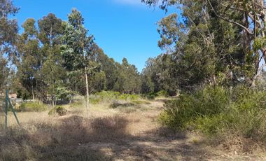 Parcela en venta en ALGARROBO