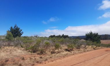 Parcela en venta en ALGARROBO