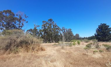 Parcela en venta en ALGARROBO