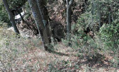 Terreno residencial en venta en Loma del Río