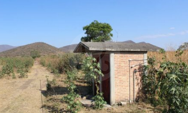 Finca en venta en Zacoalco de Torres Centro