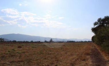 Finca en venta en Zacoalco de Torres Centro
