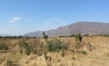Finca en venta en Zacoalco de Torres Centro