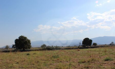 Finca en venta en Zacoalco de Torres Centro