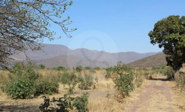 Finca en venta en Zacoalco de Torres Centro