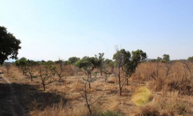 Finca en venta en Zacoalco de Torres Centro