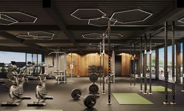 Amailá casas con roof garden y alberca desde $2,880,000