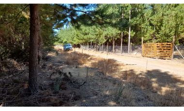 Parcela Hacienda Las Palmas 5000 m2, Santa Cruz