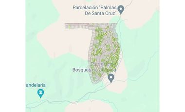 Parcela Hacienda Las Palmas 5000 m2, Santa Cruz