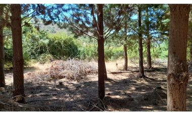 Parcela Hacienda Las Palmas 5000 m2, Santa Cruz