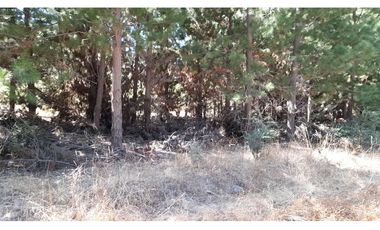 Parcela Hacienda Las Palmas 5000 m2, Santa Cruz