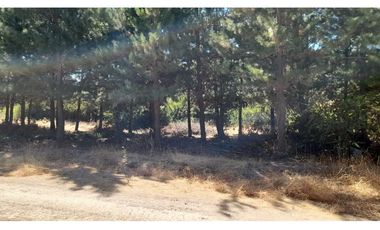 Parcela Hacienda Las Palmas 5000 m2, Santa Cruz