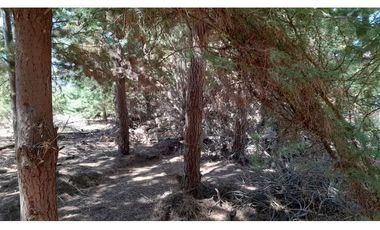 Parcela Hacienda Las Palmas 5000 m2, Santa Cruz