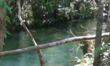FINCA PALMERA EN VENTA, PUERTO GAITAN META, NEGOCIABLE