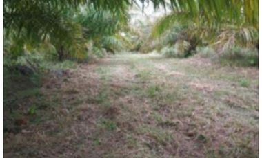 FINCA PALMERA EN VENTA, PUERTO GAITAN META, NEGOCIABLE