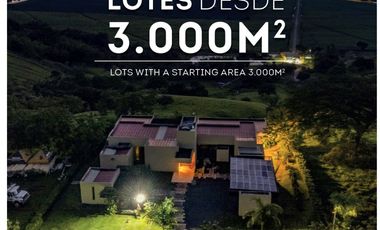 LOTE CAMPESTRE PALMIRA VALLE