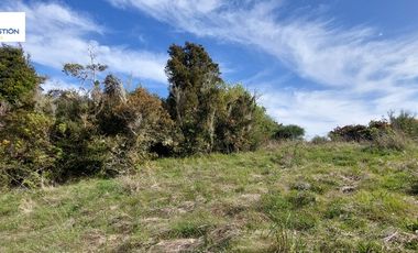 Parcela en venta en MAULLÍN