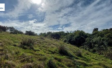 Parcela en venta en MAULLÍN