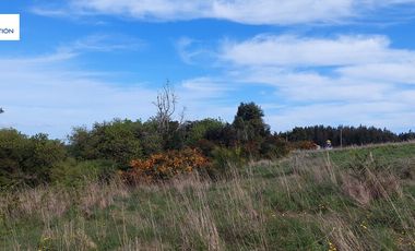 Parcela en venta en MAULLÍN