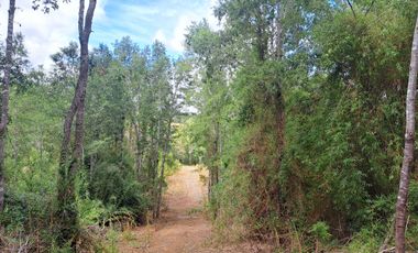 Parcela en venta en FRESIA