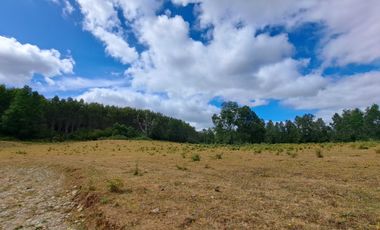 Parcela en venta en FRESIA