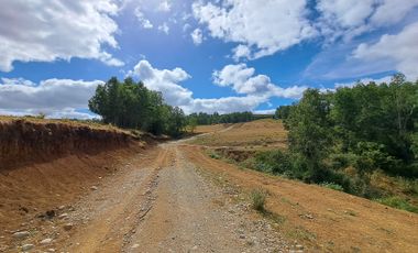 Parcela en venta en FRESIA