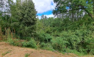 Parcela en venta en FRESIA