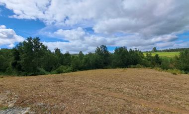 Parcela en venta en FRESIA