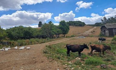 Parcela en venta en FRESIA