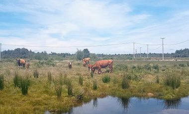 Parcela en venta en PUERTO MONTT