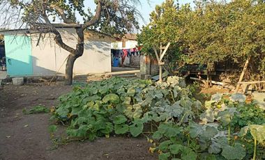 Parcela en venta en QUILICURA
