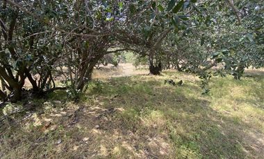 Parcela en venta en MOSTAZAL