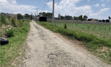Terreno en  Venta en Capultitlán.
