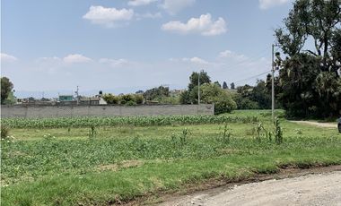 Terreno en  Venta en Capultitlán.