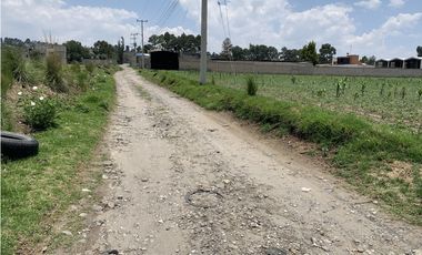 Terreno en  Venta en Capultitlán.