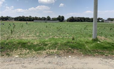 Terreno en  Venta en Capultitlán.