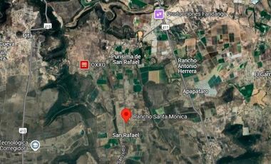 Venta de Rancho en La Purísima San Rafael, Corregidora, Qro.