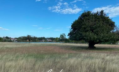 TERRENO/ LOTE FRENTE AL LAGO EN VENTA, BUENAVENTURA (6)