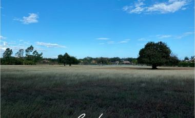 TERRENO/ LOTE FRENTE AL LAGO EN VENTA, BUENAVENTURA (6)