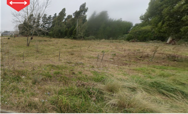 ¡Lotes en venta! (Calles 20 y 59)