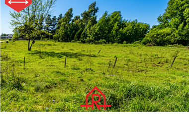 ¡Lotes en venta! (Calles 20 y 59)